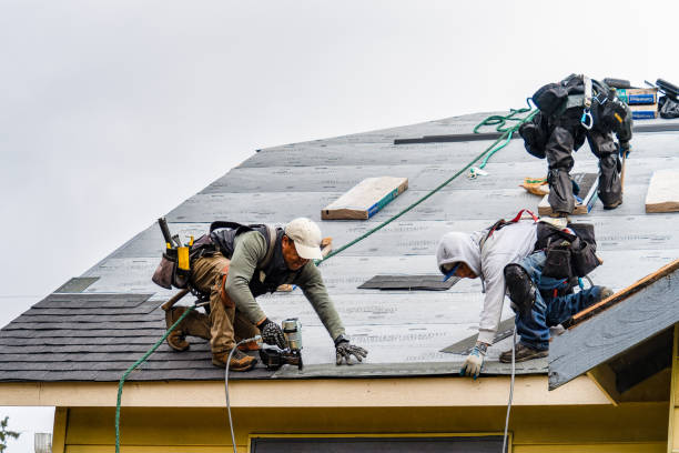 Professional Roofing technician working in Lamont, WA